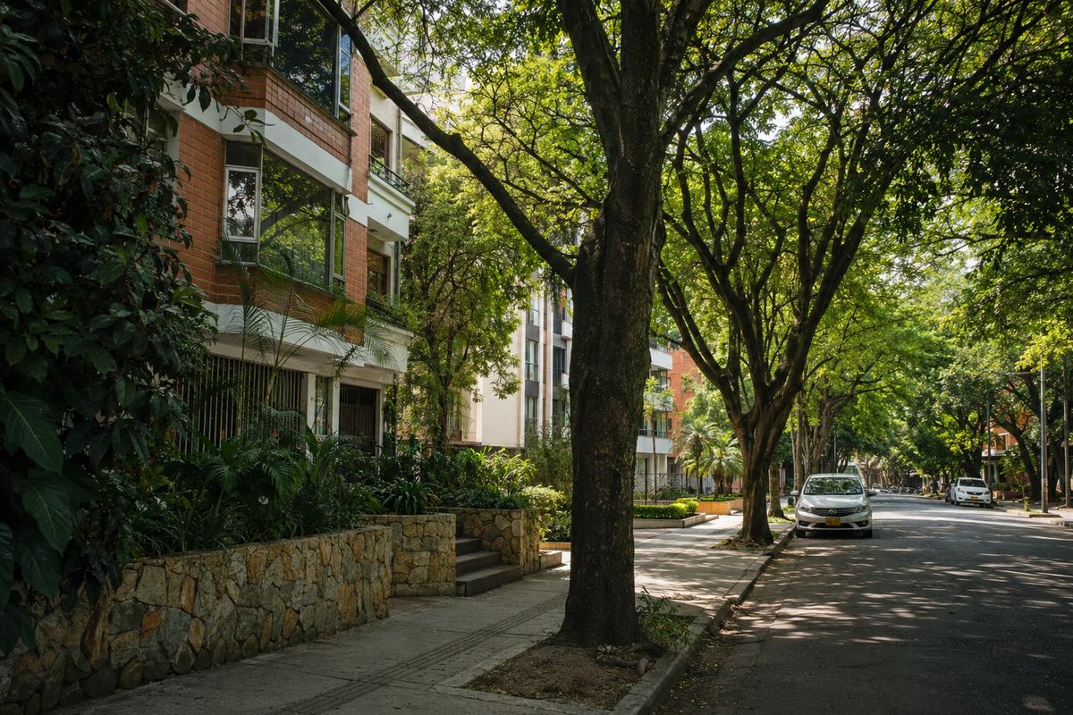 Tree-lined residential street in El Poblado, Medell&iacute;n